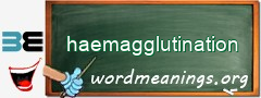 WordMeaning blackboard for haemagglutination